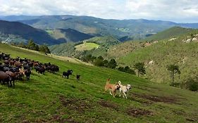 Hotel Rural Yeguada Albeitar